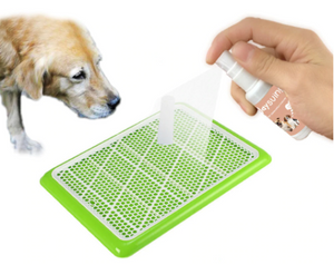 Pet Toilet Training Aid