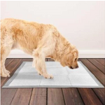 Pet Toilet Training Aid