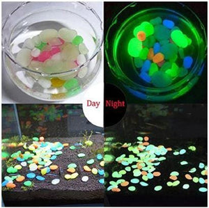 Glow in the Dark Pebbles (50 pcs Set)