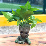 Baby Groot Flowerpot