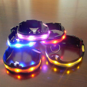 Nylon Night Safety Dog LED Collar - ValasMall