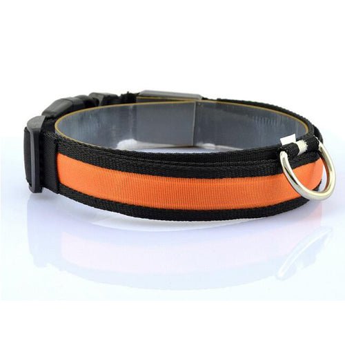 Nylon Night Safety Dog LED Collar - ValasMall