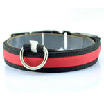 Nylon Night Safety Dog LED Collar - ValasMall