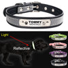 Reflective Collar ID Tag For Pet - ValasMall