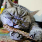 Cat Natural Cleaning Teeth Sticks - ValasMall